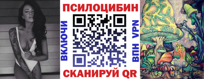 Псилоцибиновые грибы GOLDEN TEACHER  Купить где  Богучар 